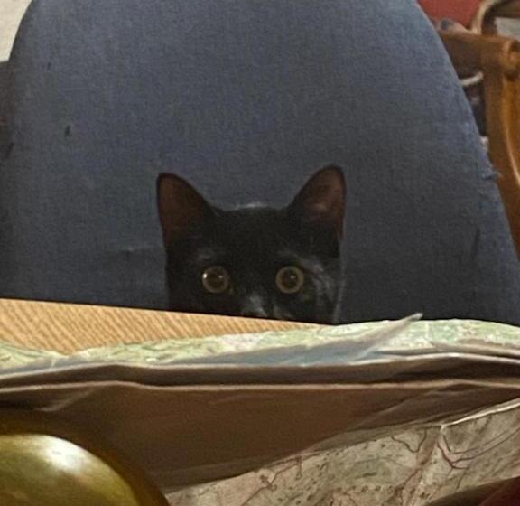 مبيت وإفطار Chez Cat Et Christophe , Chambre Calme Et Lumineuse Chez L Habitant Avec Vue