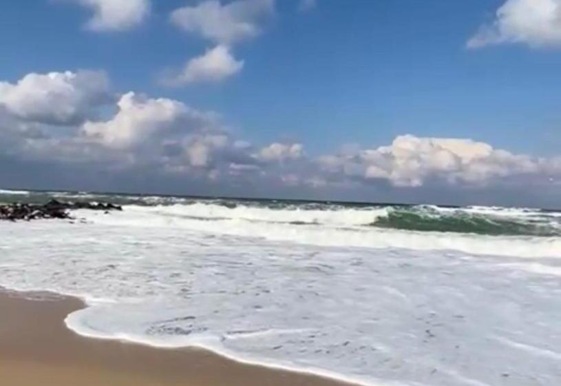 住宿加早餐  Villa Blacksea