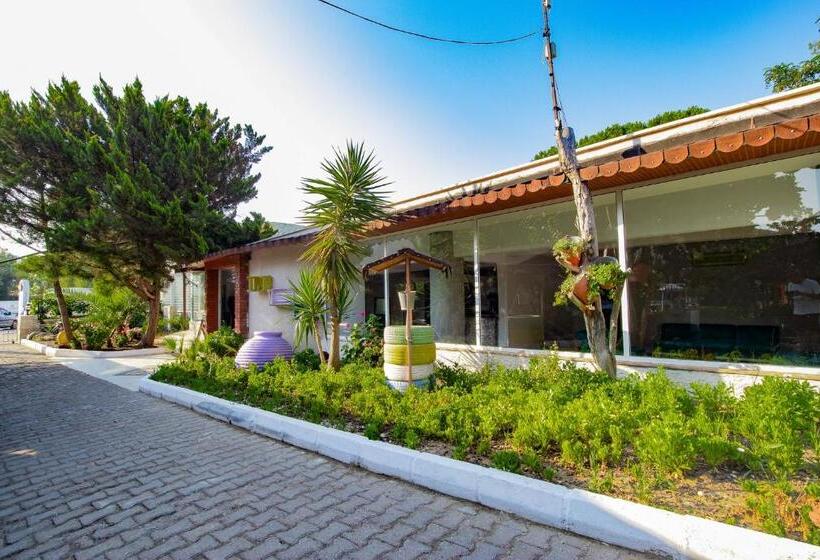 Отель Pi̇gale Beach Resort