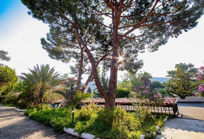 Отель Pi̇gale Beach Resort