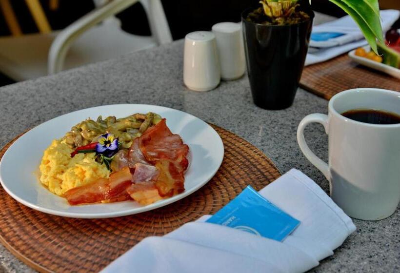 בית מלון כפרי Road Lodge Jnb Airport