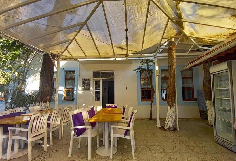 Отель Tropicana