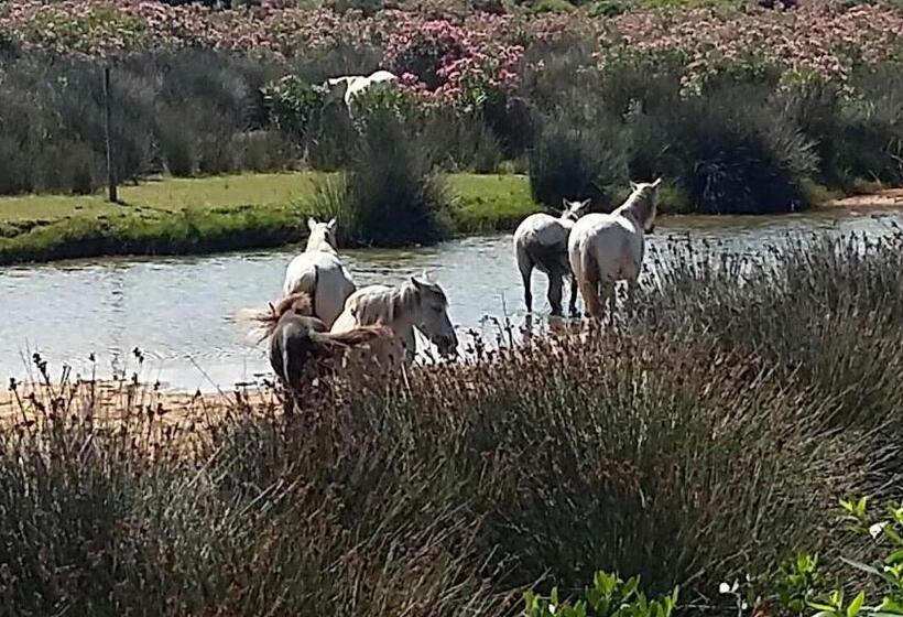 بنسيون Caslune