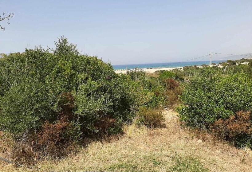 بنسيون Caslune