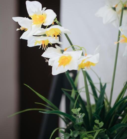 膳宿费 Le Case Di Maggie