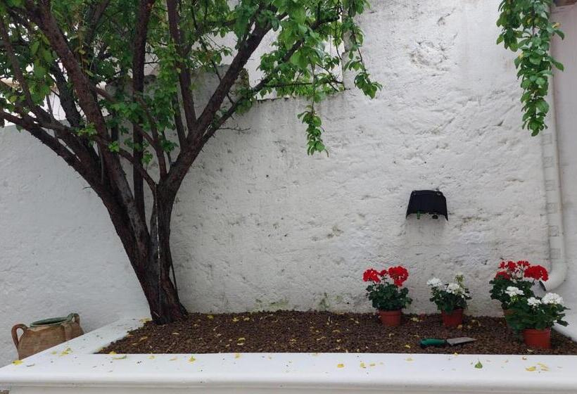 펜션 Nunnu Pati Apartment