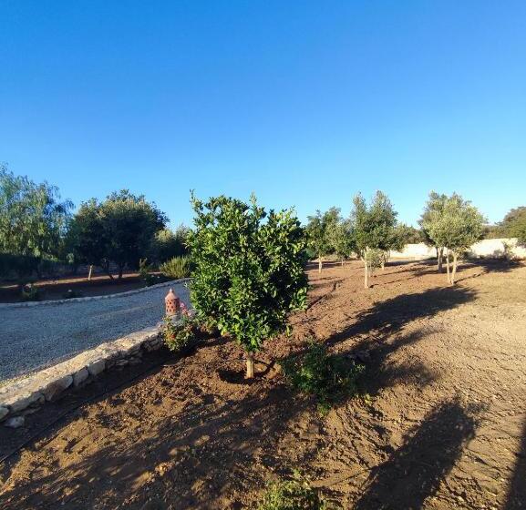 پانسیون Riad Bini Ddik