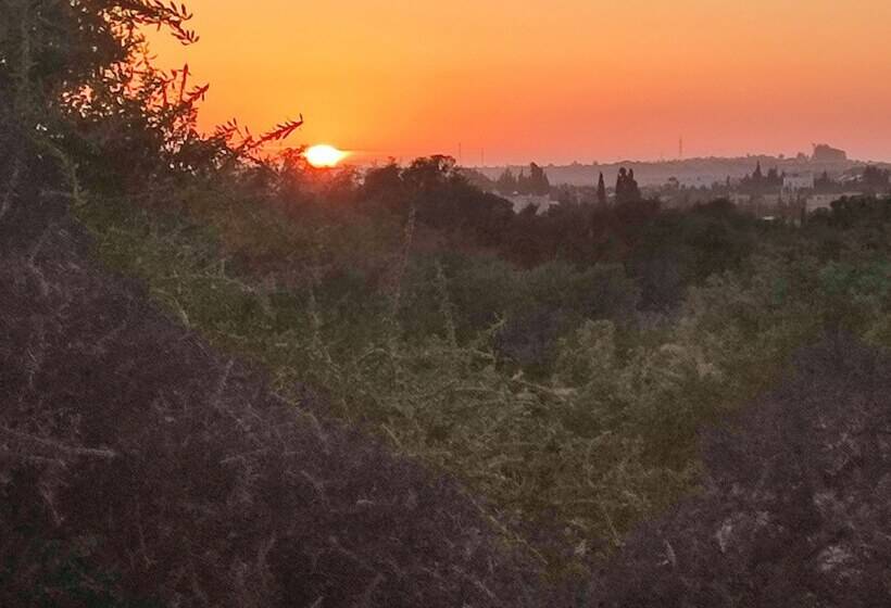 پانسیون Riad Bini Ddik