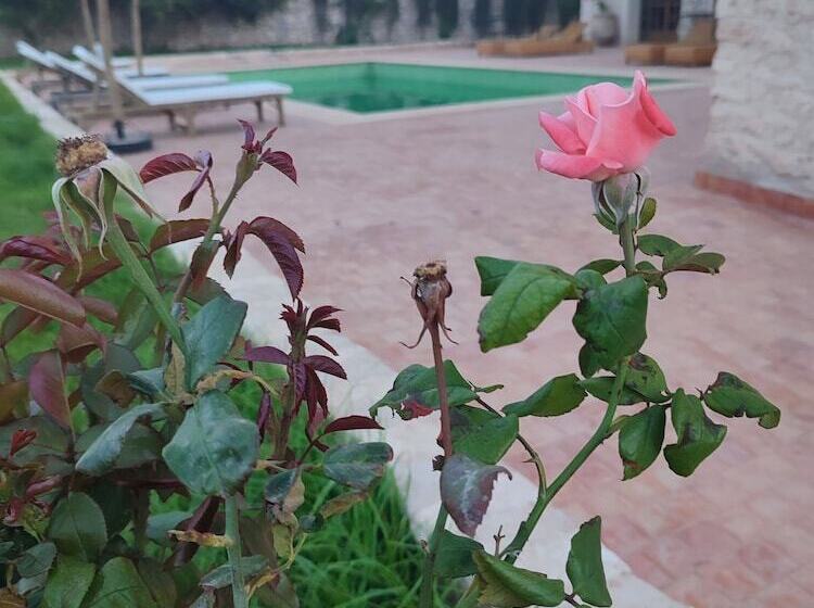 پانسیون Riad Bini Ddik