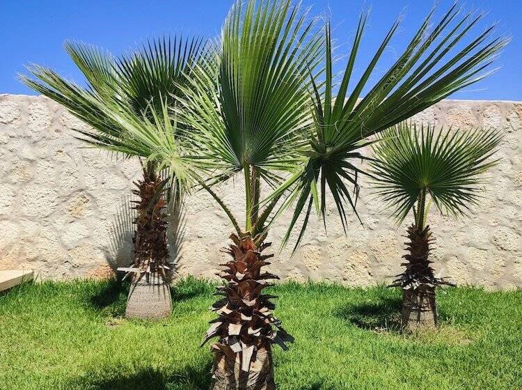 پانسیون Riad Bini Ddik