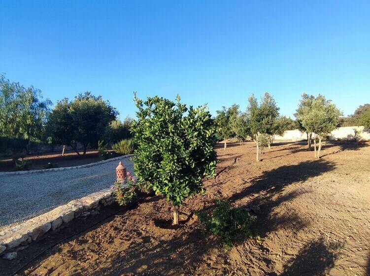 پانسیون Riad Bini Ddik