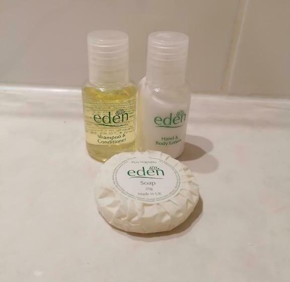 פנסיון The Prince Of Wales