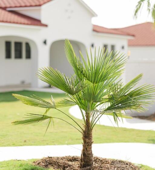 אתר נופש La Palmilla Texas