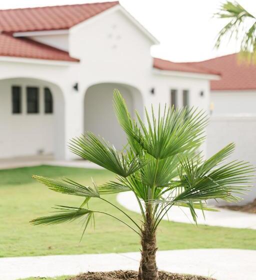 אתר נופש La Palmilla Texas