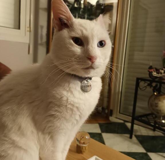 ベッドアンドブレックファースト Le Temps D Un Séjour En Bretagne Chambres D Hôtes