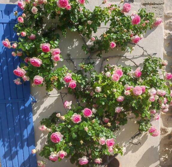 ベッドアンドブレックファースト Mas De Manon