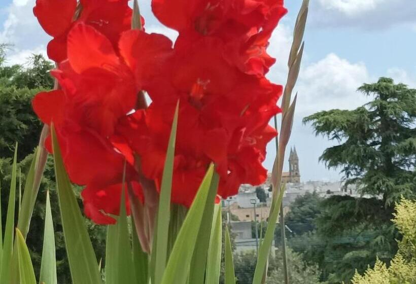 住宿加早餐  Sognando Alberobello