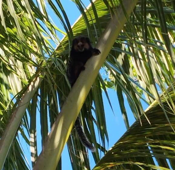هتل Recanto Do Paraiso Pousada Hostel