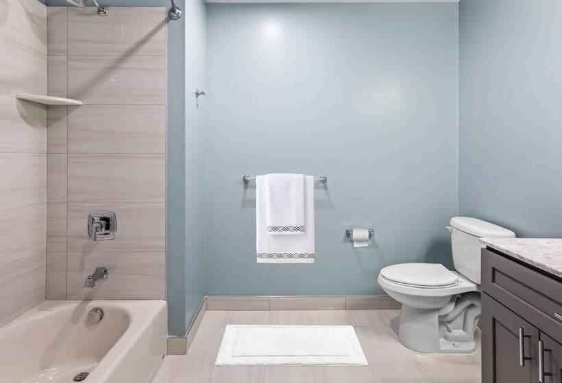 בית מלון כפרי Seaport Suites