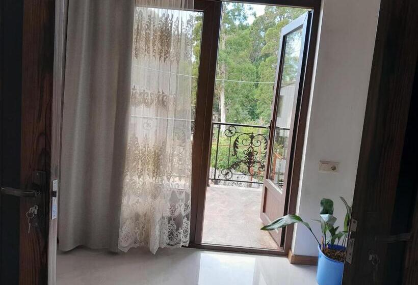 پانسیون Vila Chakvi