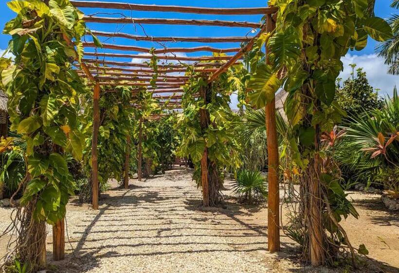 Xhule Hotel Boutique