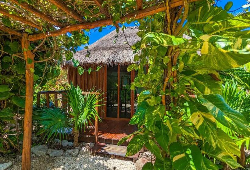 Xhule Hotel Boutique