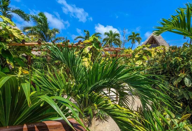 Xhule Hotel Boutique