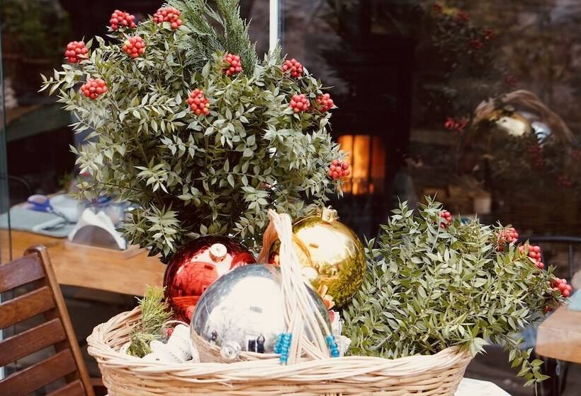 בית מלון כפרי Cunda Ilios