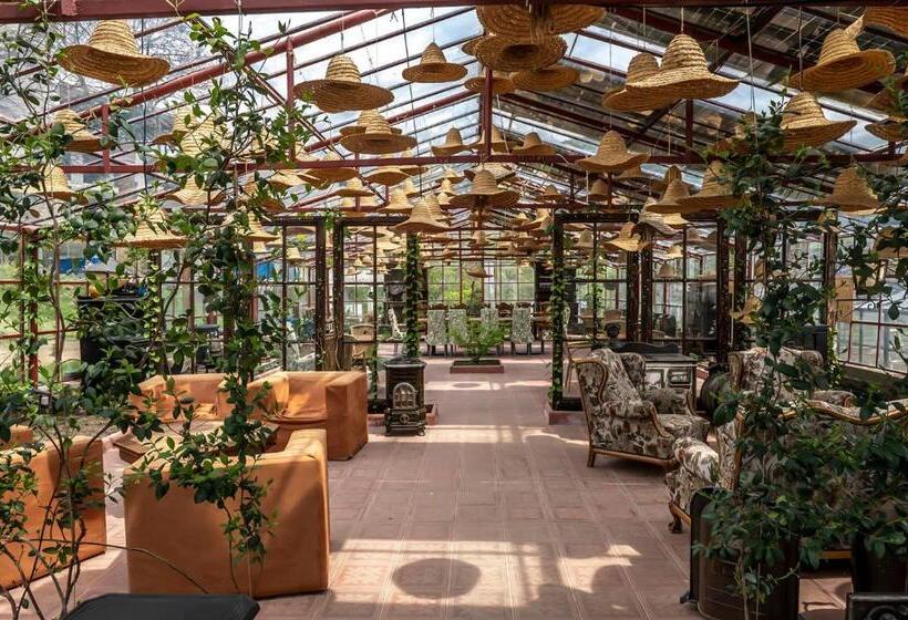 هتل Kiketi Farm Container