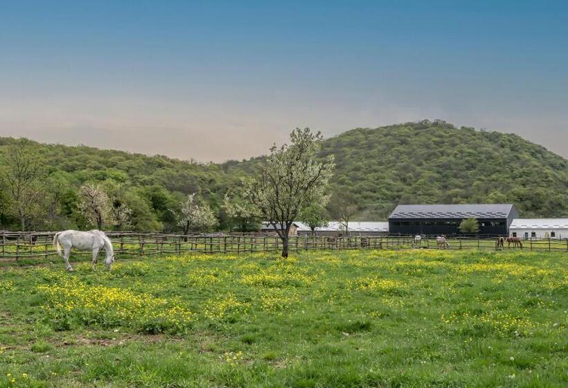 هتل Kiketi Farm Container