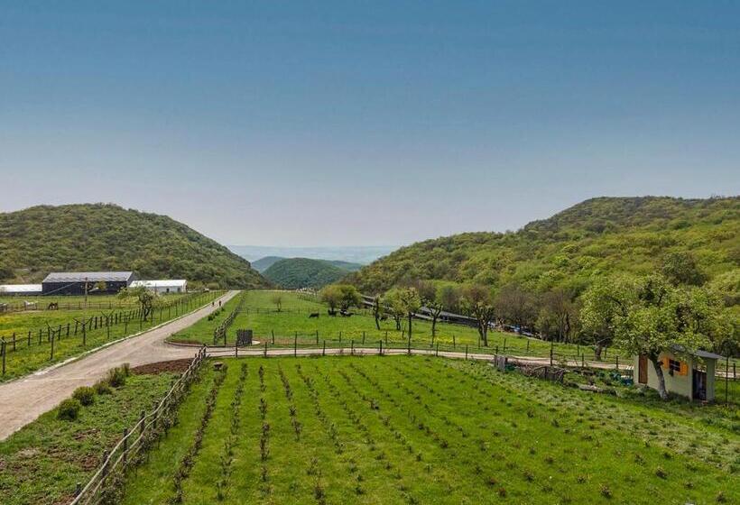 هتل Kiketi Farm Container