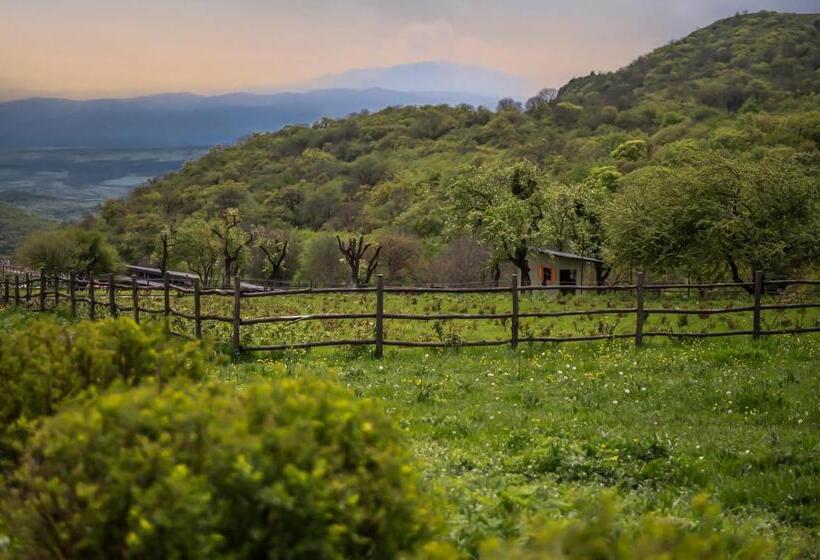 هتل Kiketi Farm Container