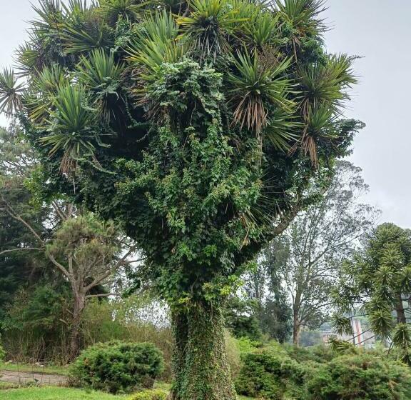 ホテル Natures Retreat S And Resorts