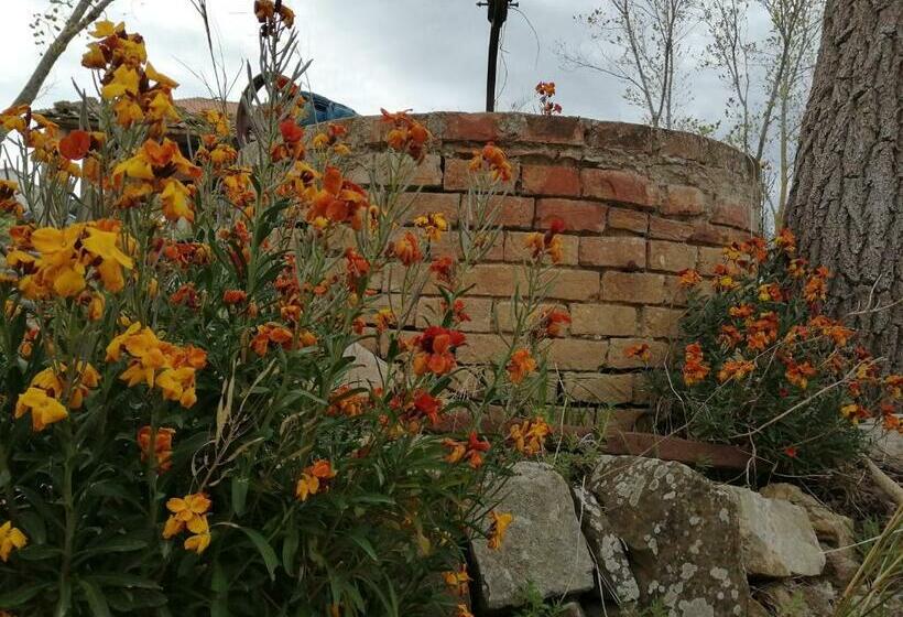 酒店 Podere Stabbiatelli