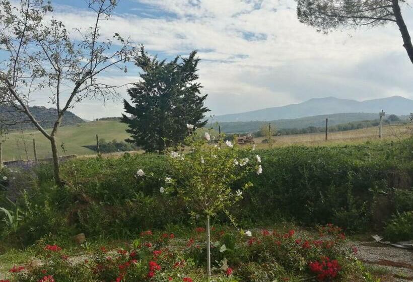 酒店 Podere Stabbiatelli