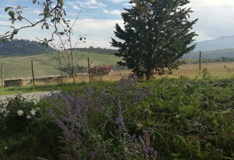 酒店 Podere Stabbiatelli