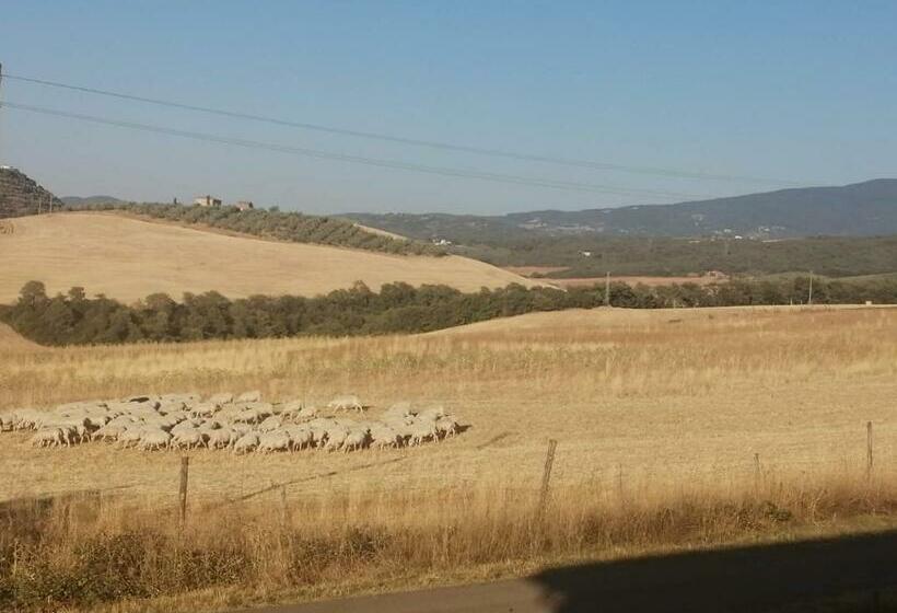 酒店 Podere Stabbiatelli