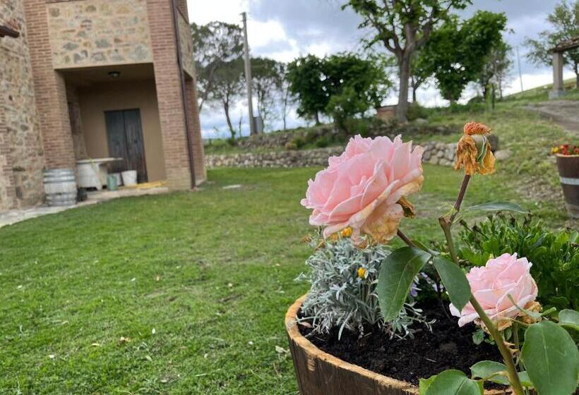 酒店 Podere Stabbiatelli