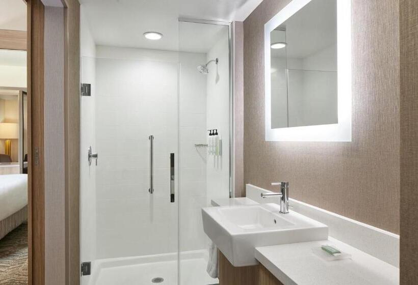 فندق Springhill Suites By Marriott Frederica