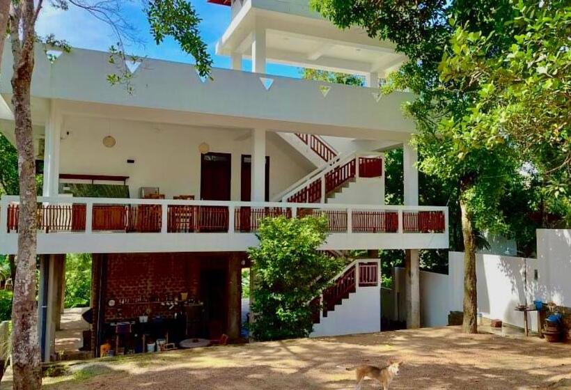 Пансион Cocosurf House 2024