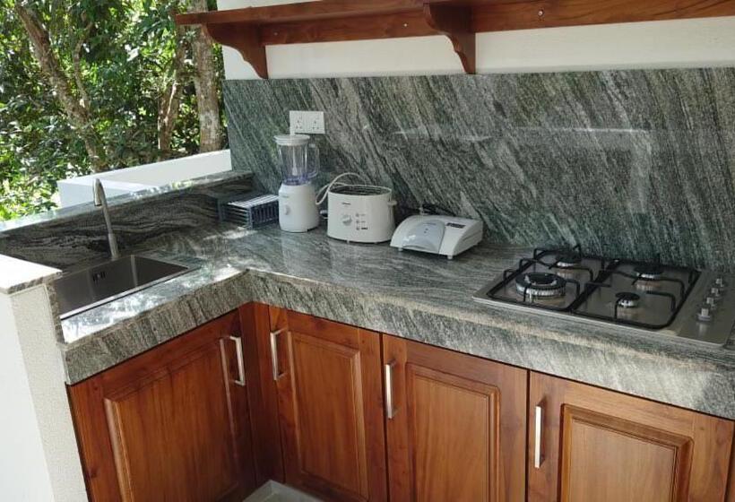 Пансион Cocosurf House 2024