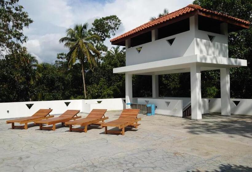 Пансион Cocosurf House 2024