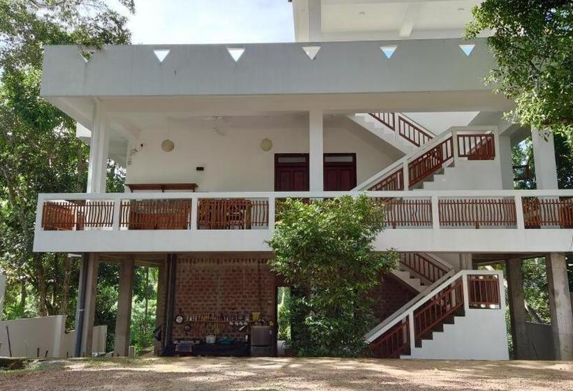 Пансион Cocosurf House 2024