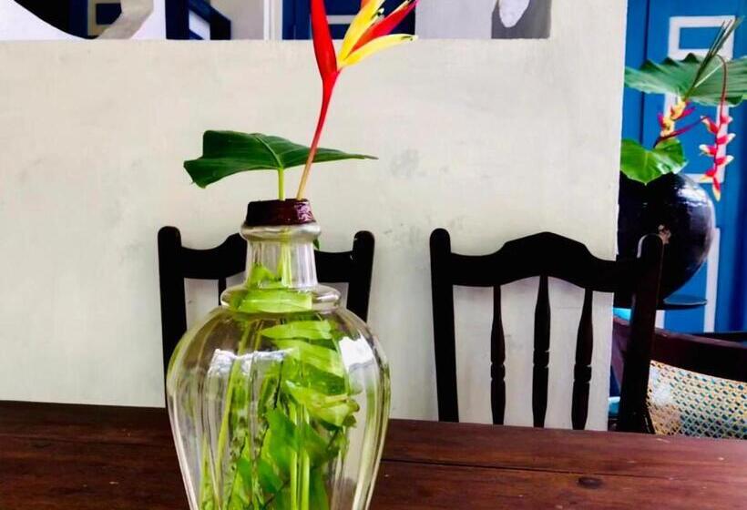 פנסיון Museum Villa 09