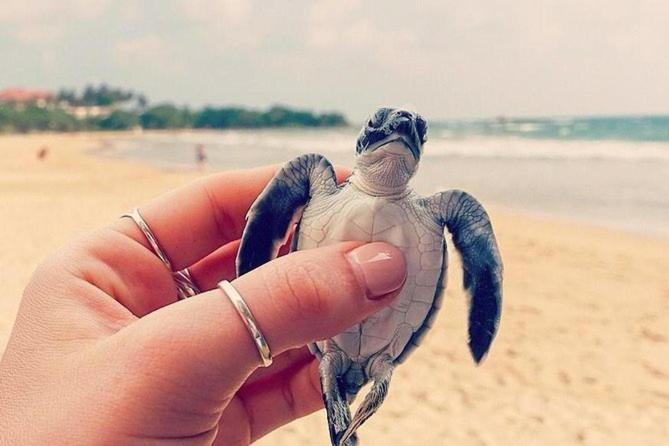 פנסיון Museum Villa 09