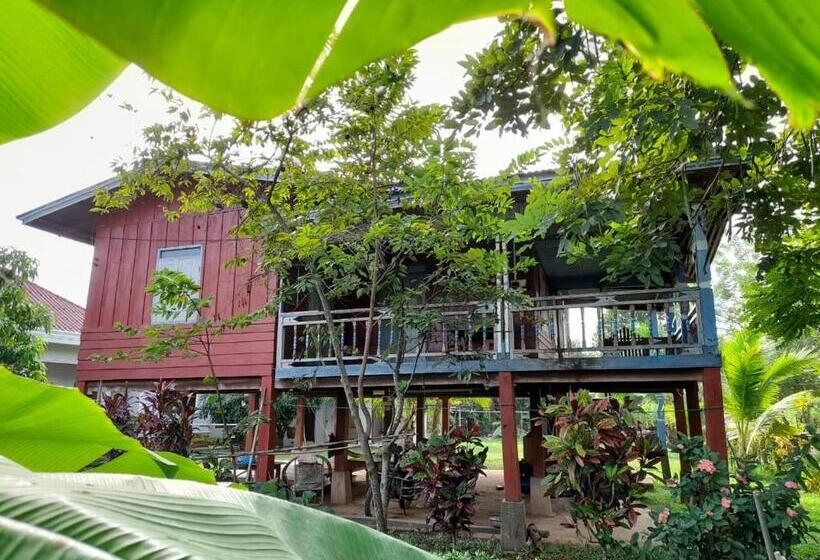 پانسیون Vixay Dorm