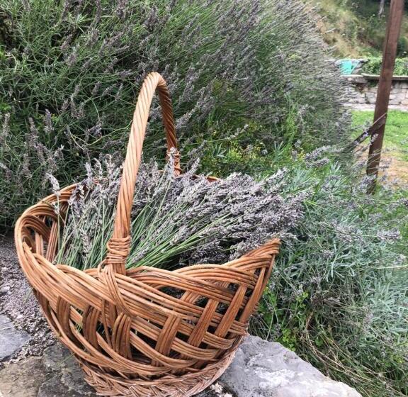 Bed and Breakfast La Casita Eco Country House