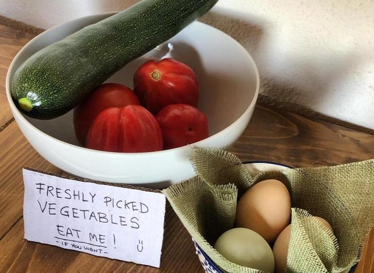 Bed and Breakfast La Casita Eco Country House