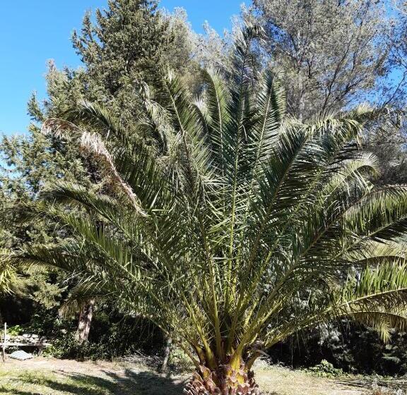 Bed and Breakfast Les Esquirous