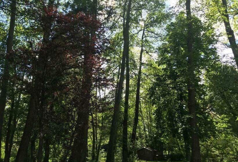 Bed and Breakfast Maison Ichigo